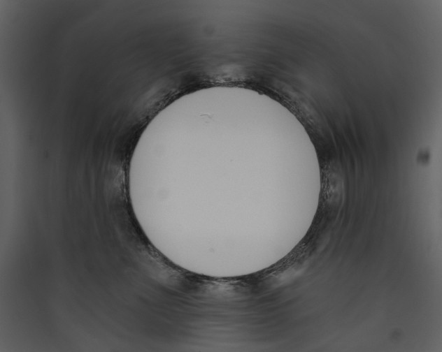 X0000089390523200707131722
