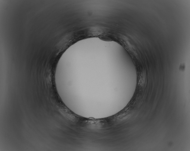 X0000089390524200707131722