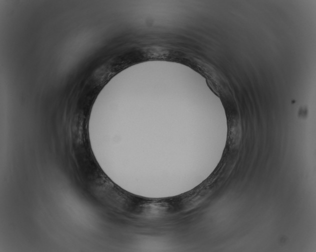 X0000089390525200707131722