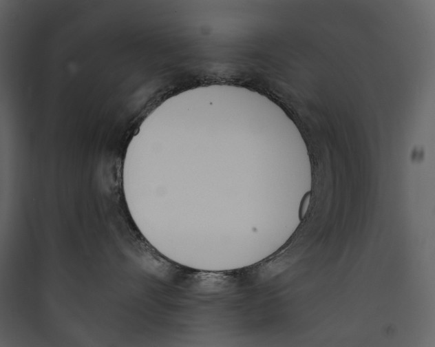 X0000089390528200707131722