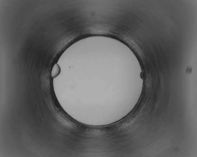 X0000089390533200707131721