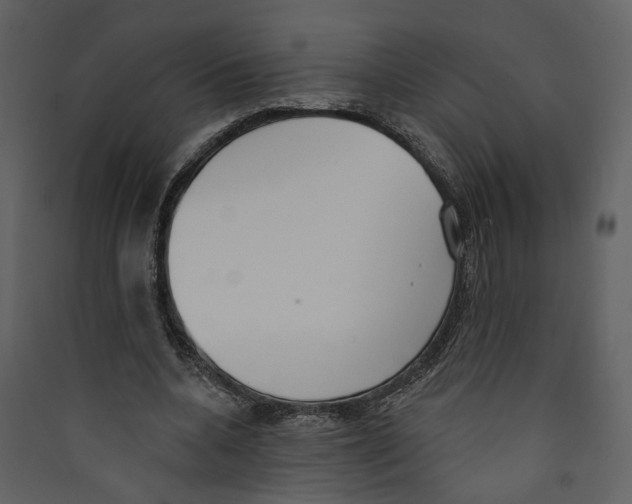 X0000089390536200707131721