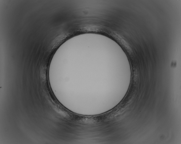 X0000089390537200707131721