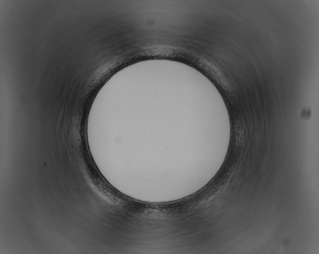 X0000089390538200707131721