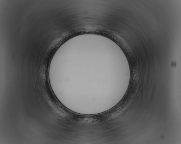 X0000089390542200707131721