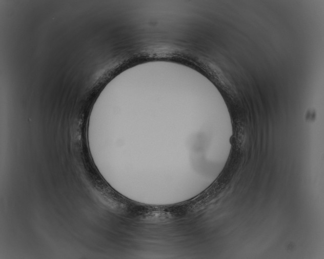 X0000089390543200707131721