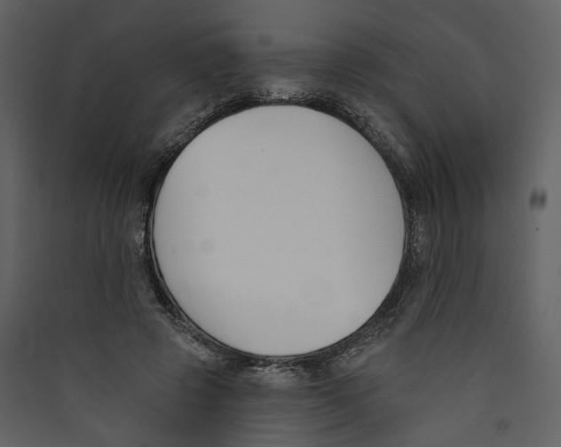 X0000089390545200707131721