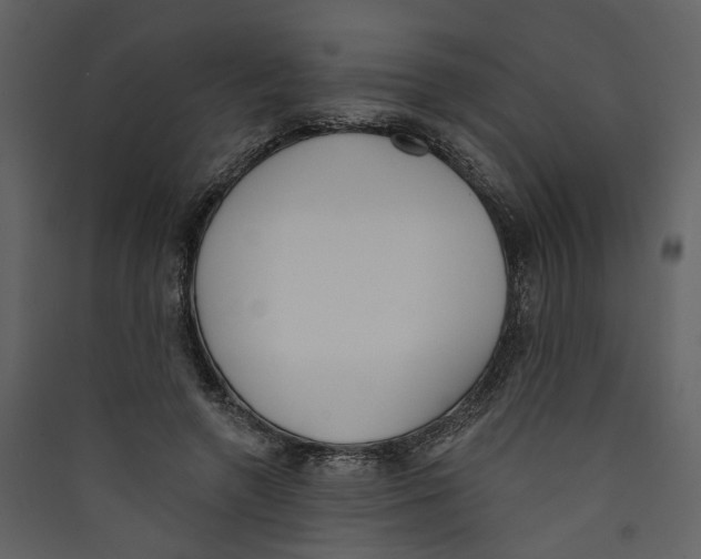 X0000089390546200707131721