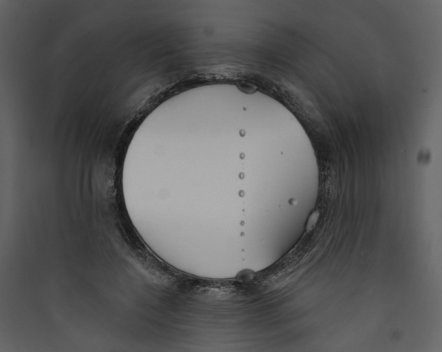X0000089390548200707131721