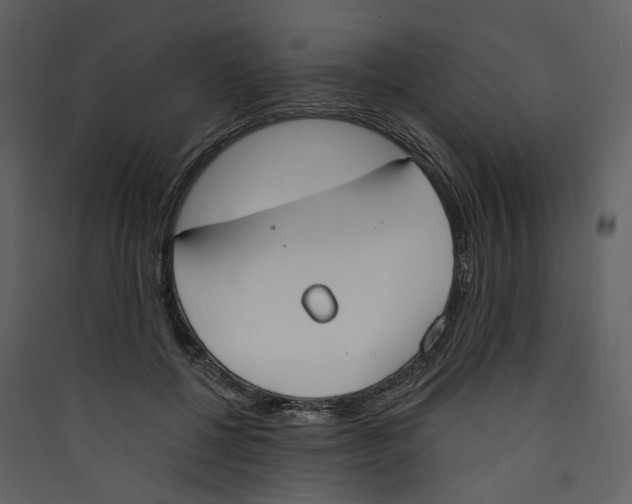 X0000089390552200707131721