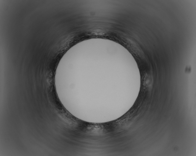 X0000089390559200707131721