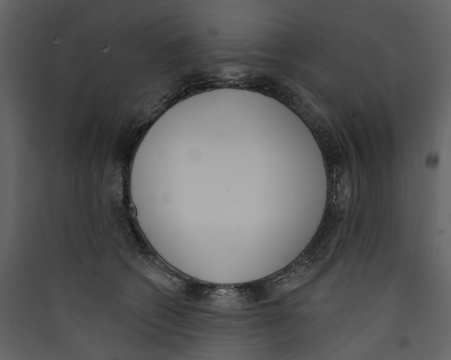 X0000089390562200707131721