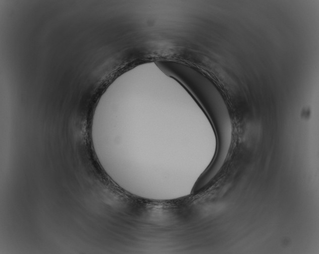 X0000089390564200707131721