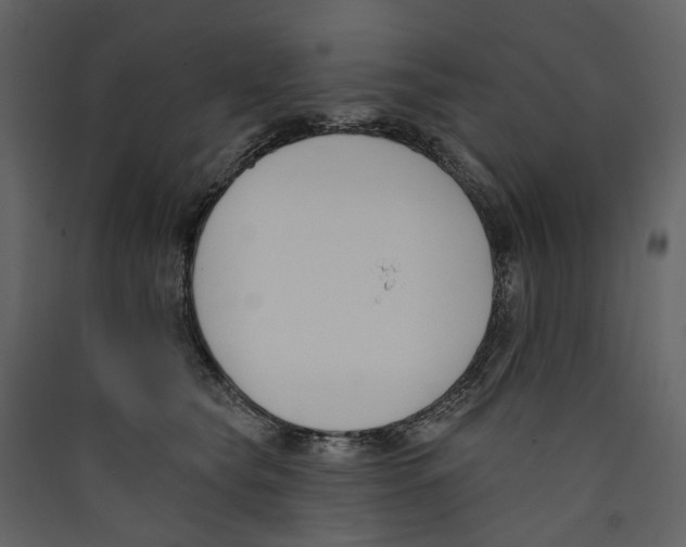 X0000089390565200707131721
