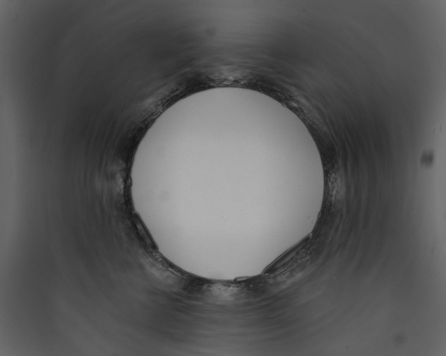 X0000089390570200707131721