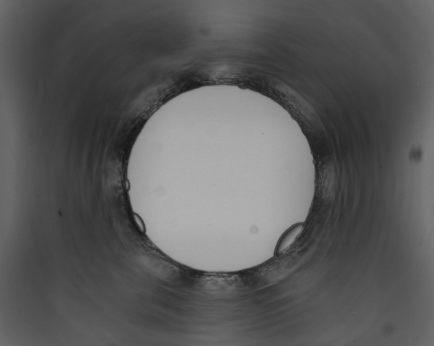 X0000089390571200707131721