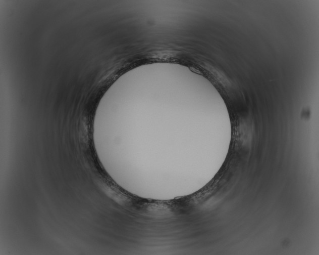 X0000089390572200707131721