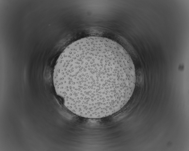 X0000089390573200707131721