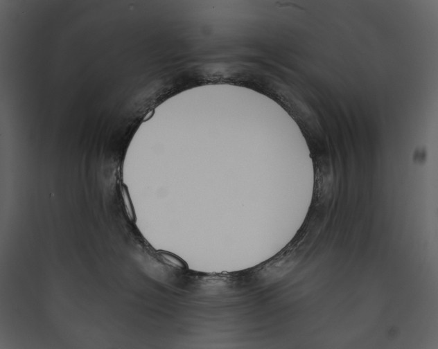 X0000089390574200707131722