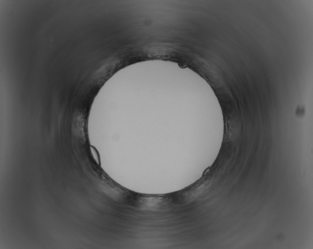 X0000089390575200707131722