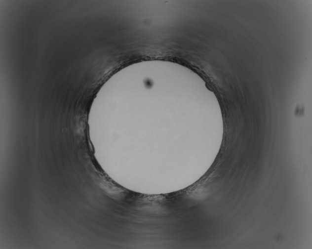 X0000089390576200707131722