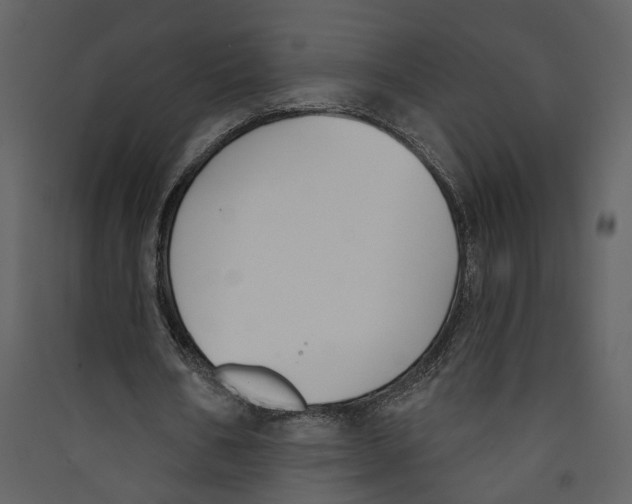 X0000089390578200707131721