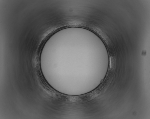 X0000089390579200707131721