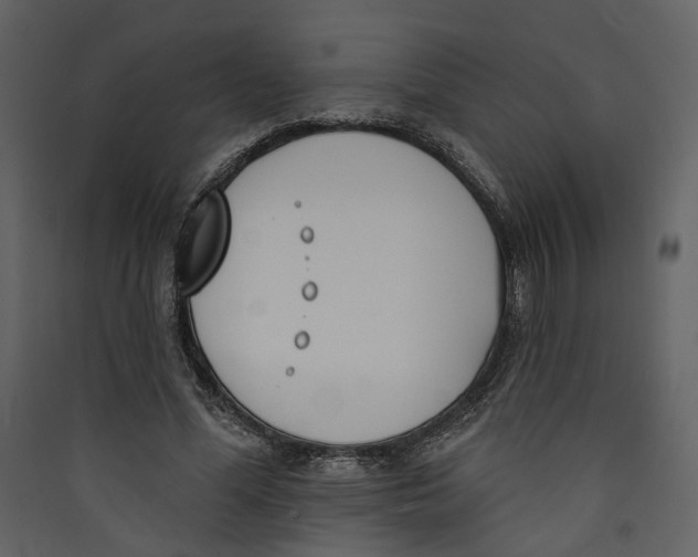 X0000089390588200707131721