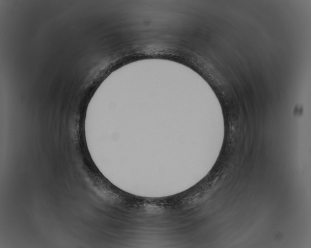 X0000089390592200707131721