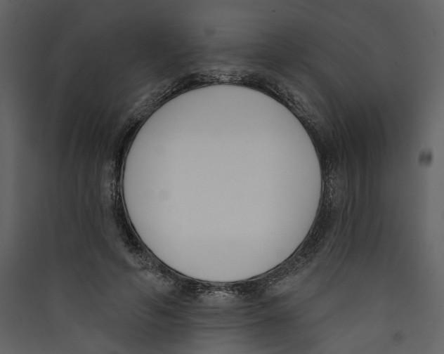 X0000089390594200707131721