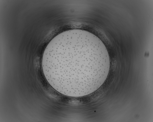 X0000089390598200707131720