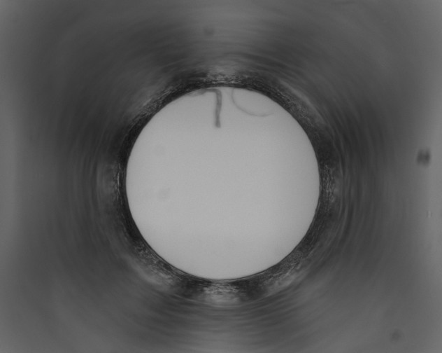 X0000089390603200707131720