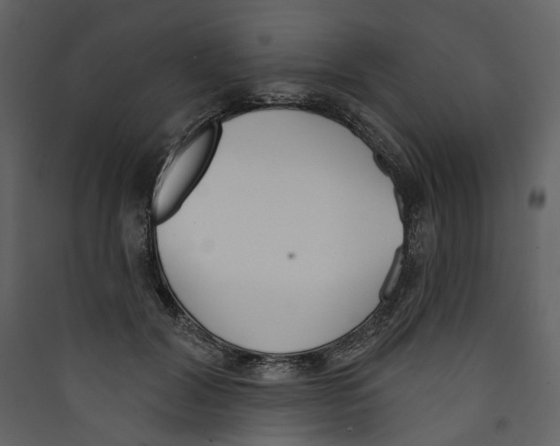 X0000089390604200707131720