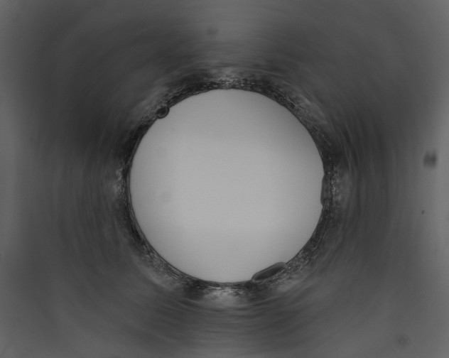 X0000089390611200707131720