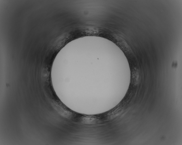 X0000089390614200707131720
