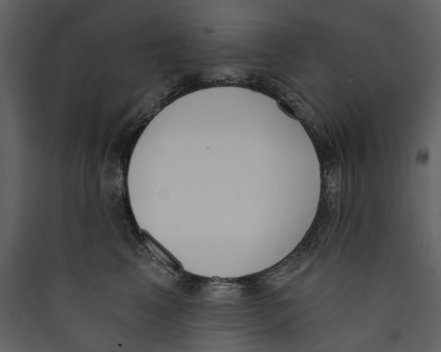 X0000089390617200707131720