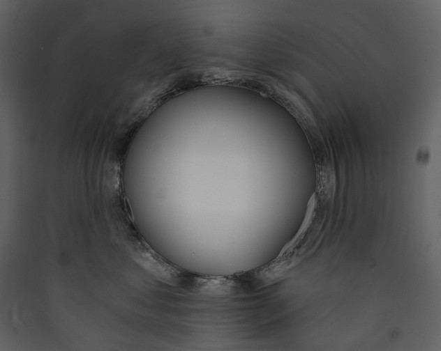 X0000089390621200707131720