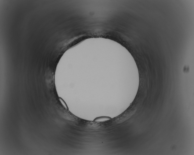 X0000089390624200707131720