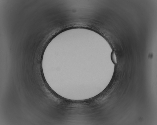 X0000089390625200707131720