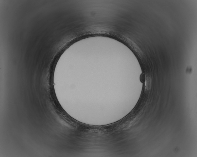 X0000089390627200707131720