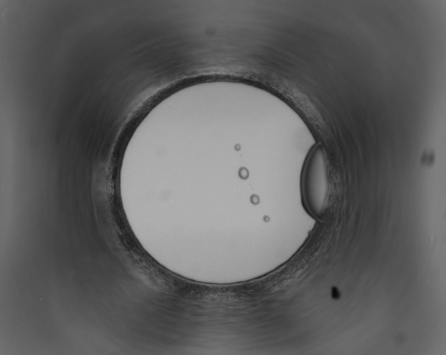 X0000089390628200707131720