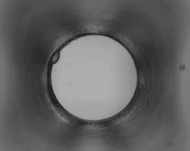 X0000089390630200707131720