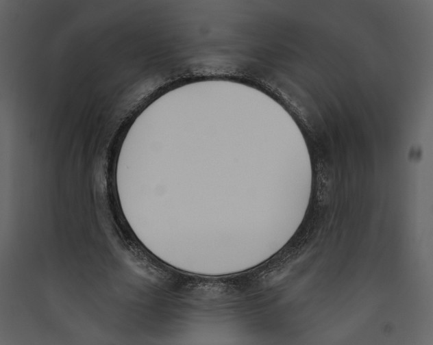 X0000089390631200707131720