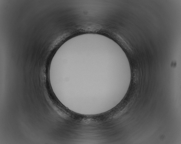 X0000089390634200707131720