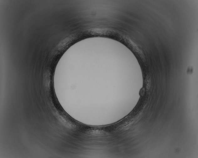X0000089390637200707131720