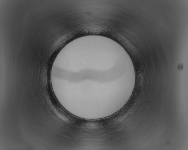 X0000089390638200707131720
