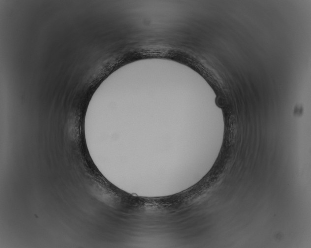 X0000089390641200707131720