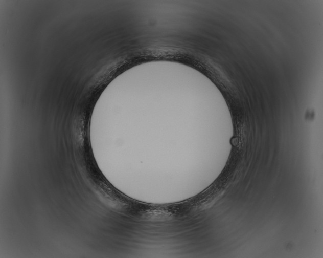 X0000089390644200707131720