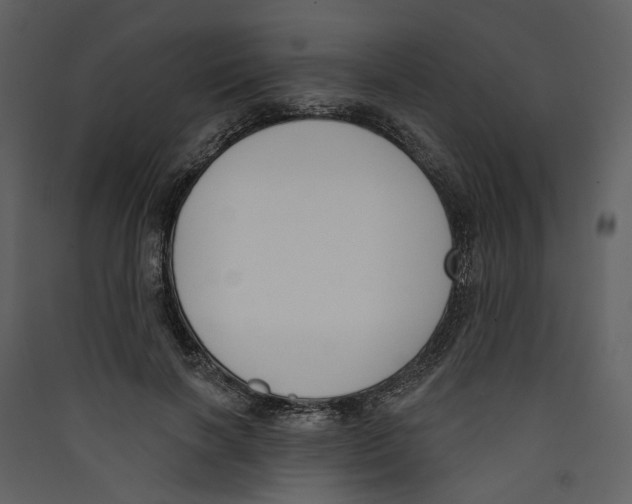X0000089390646200707131720