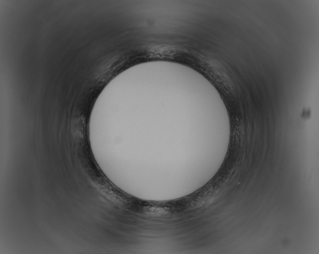 X0000089390649200707131720